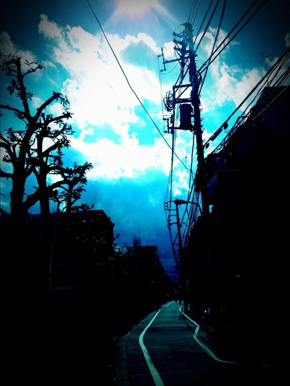cable, power line, connection, transportation, sky, silhouette, outdoors, electricity, no people, day, electricity pylon, tree, technology, nature