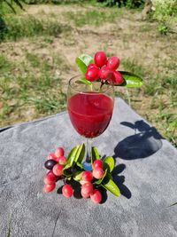 Close-up of red berries on plant