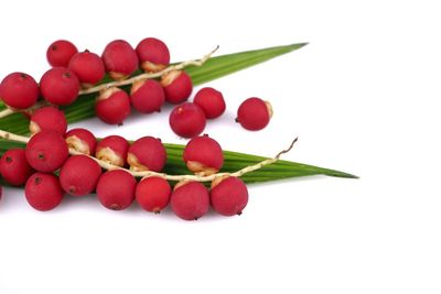 Close-up of cherries over white background