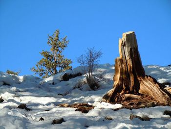 Scenic view of snow covered landscape against clear sky