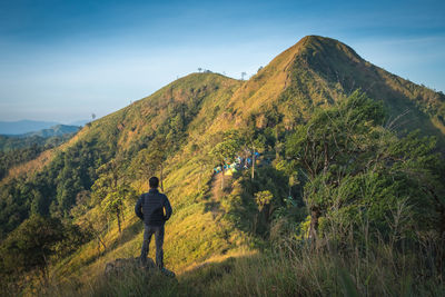 Rear view of man standing against mountain 