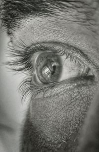 Close-up of man eye