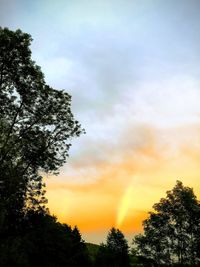 Low angle view of trees against sky during sunset