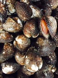 Full frame shot of white background