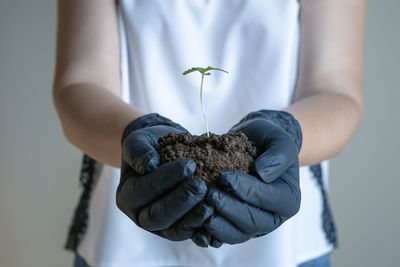 Close-up of hand holding plant