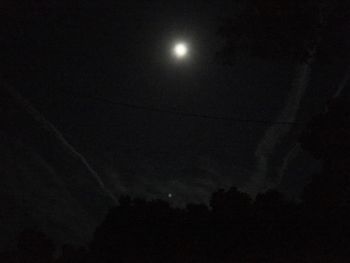 Low angle view of silhouette tree against sky at night