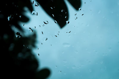 Raindrops on glass window