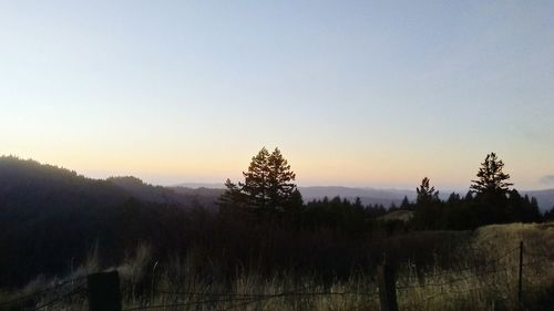 Silhouette trees on landscape against clear sky