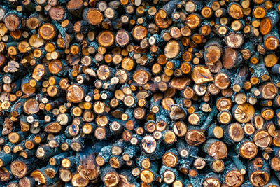 Full frame shot of logs