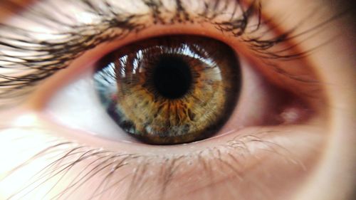 Cropped image of person eye