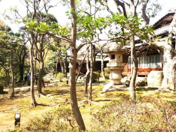 Built structure with trees in background