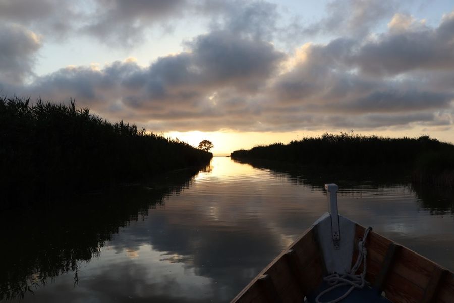 Puesta de sol Tree Water Nautical Vessel Sunset Lake Reflection Dusk Forest Sky Cloud - Sky