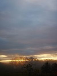 Silhouette trees on landscape against sky during sunset