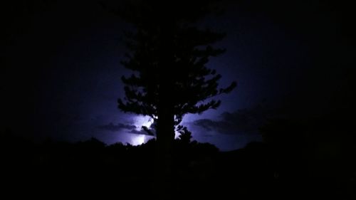 Low angle view of silhouette trees against sky at night