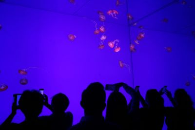 Silhouette people at aquarium