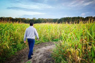 Rear view of man walking on field against sky