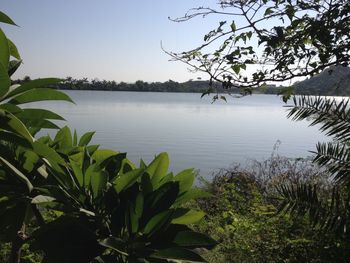 Scenic view of lake against clear sky