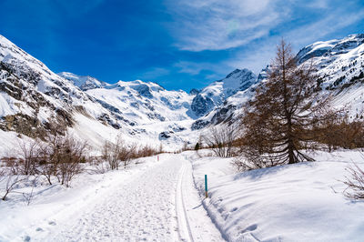 A close-up view of the morteratsch glacier in winter, engadin, switzerland.