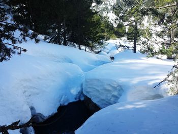 Scenic view of snow covered mountain