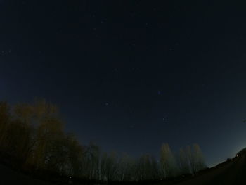 Low angle view of silhouette trees against sky at night