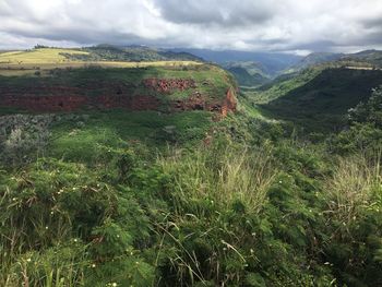 Scenic view of landscape against sky