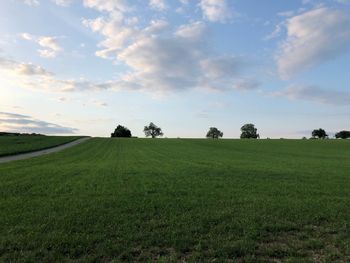 Scenic view of agricultural field against sky