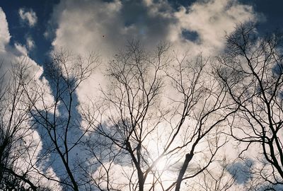 Low angle view of bare tree against cloudy sky