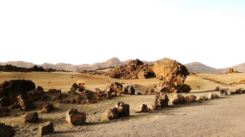 Scenic view of landscape against clear sky