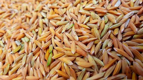 Full frame shot of fresh rice grain