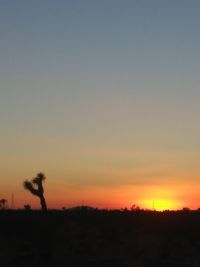 Silhouette trees on field against clear sky during sunset