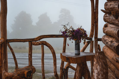 Potted plants on table against trees