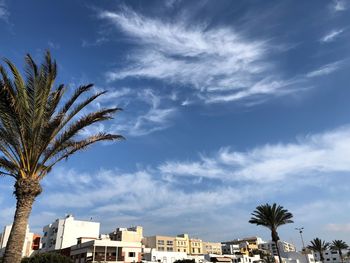 Low angle view of palm tree against buildings