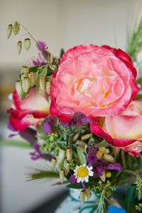 Close-up of pink flowers