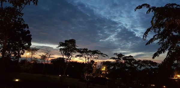Low angle view of silhouette trees against sky at sunset
