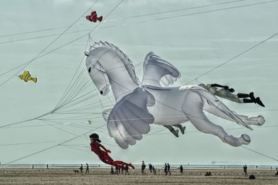 Kite festival 