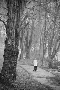 Rear view of people walking on bare tree