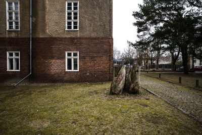 View of trees in front of building