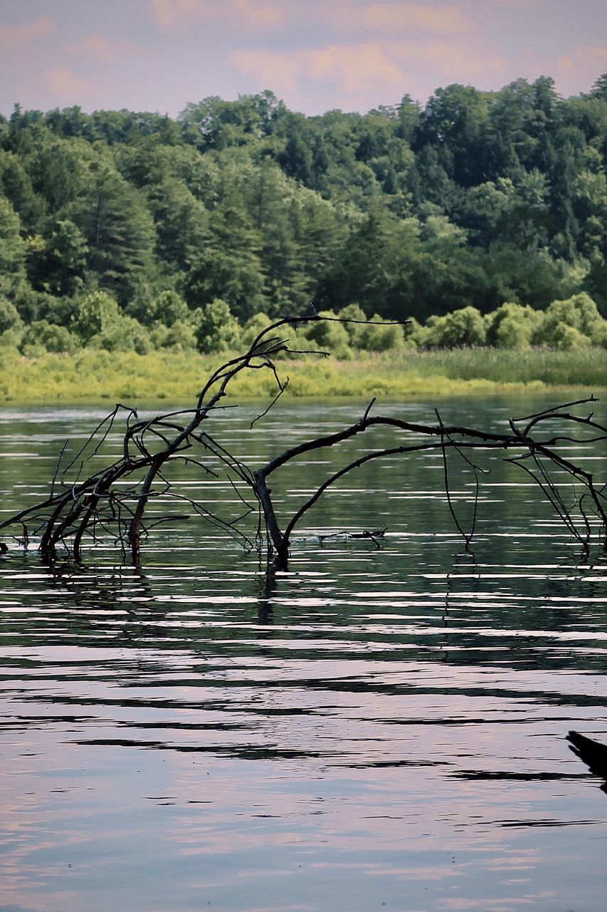 VIEW OF FENCE BY LAKE AGAINST SKY