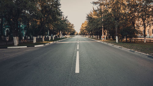 Empty road along trees and plants in city