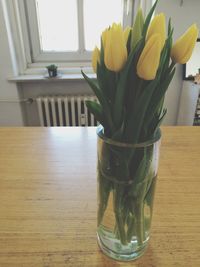 Close-up of flowers in vase