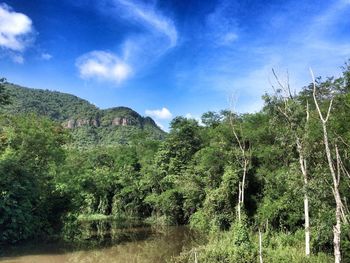 Scenic view of landscape against cloudy sky