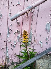 Close-up of weathered wall