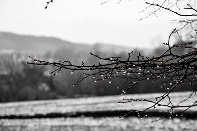 Close-up of frozen water against sky