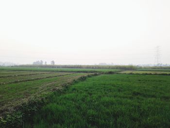 Scenic view of field against clear sky