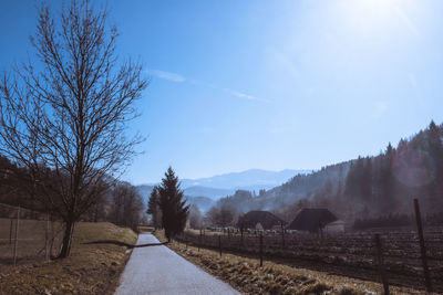 Road amidst bare trees against sky