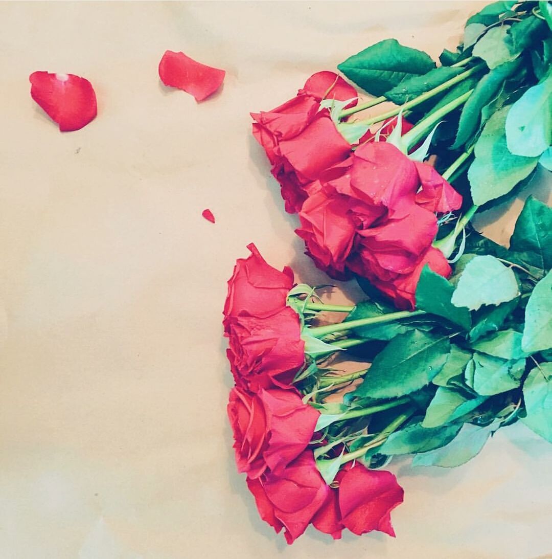 red, leaf, flower, petal, close-up, indoors, freshness, multi colored, still life, fragility, high angle view, flower head, no people, wall - building feature, variation, rose - flower, plant, nature, beauty in nature, pink color