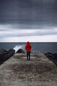 Rear view of man standing on beach