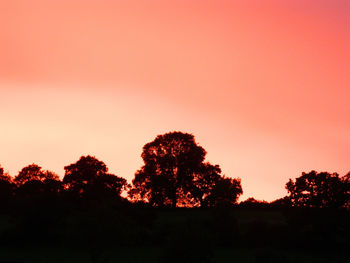 Silhouette trees against sky during sunset