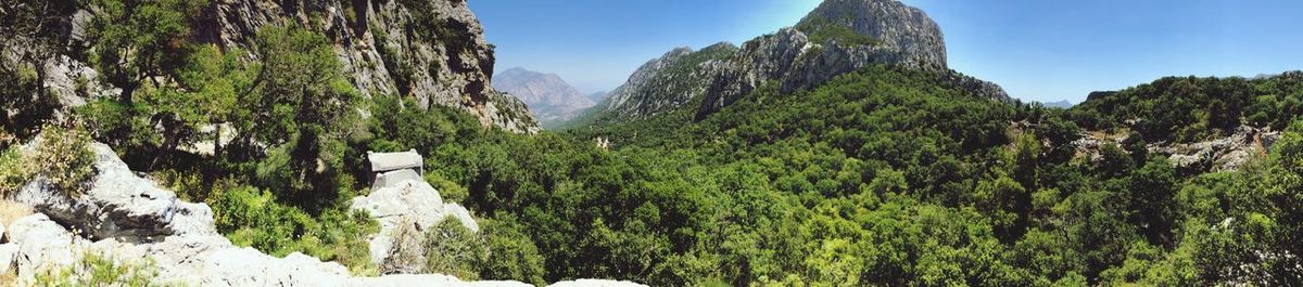 Panoramic view of trees and mountains against sky