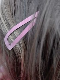 Close-up of pink indoors